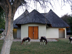 Mokuti Lodge and Oryx or Gemsbok